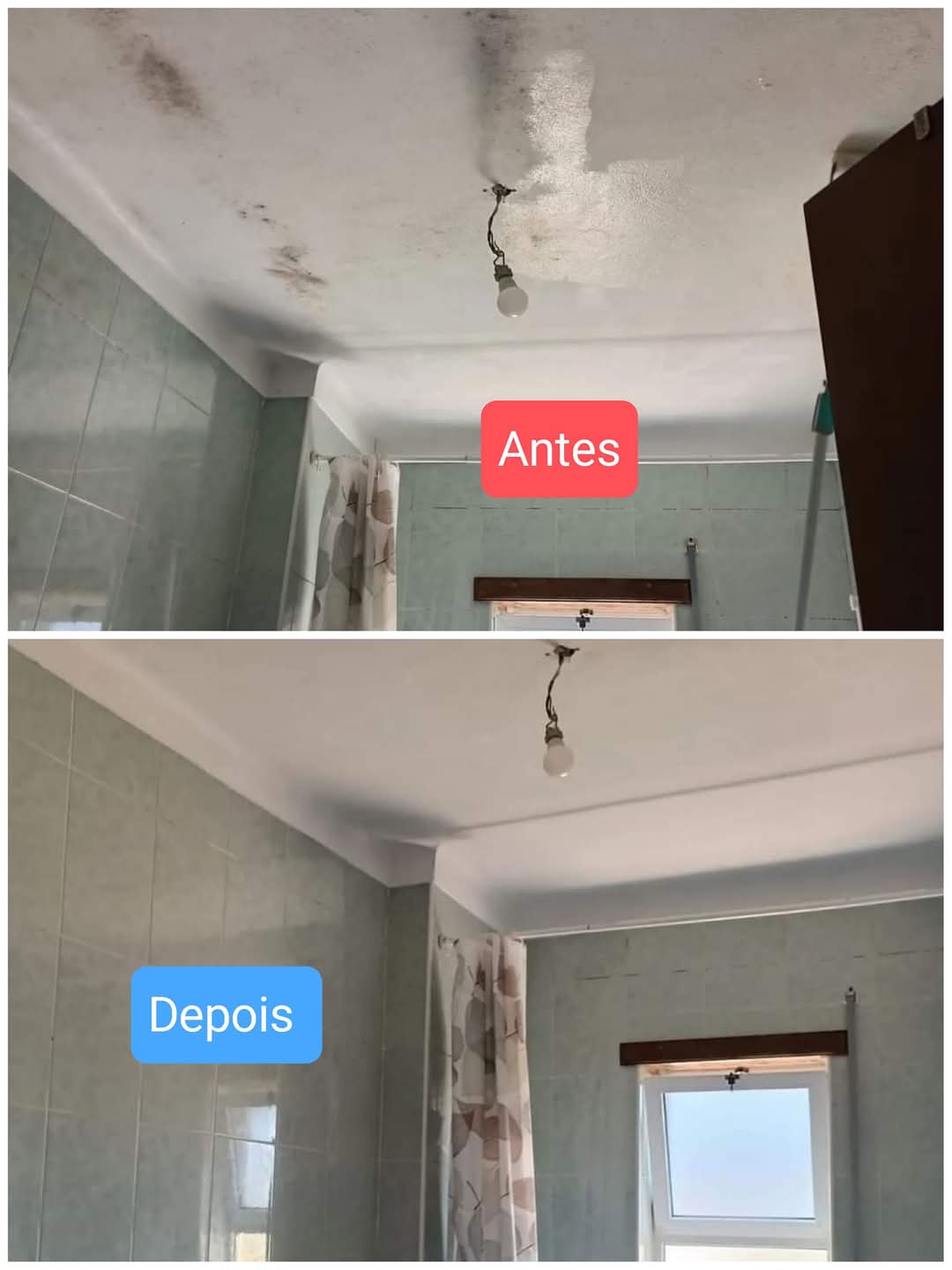 Inspeção e Remoção de Fungos